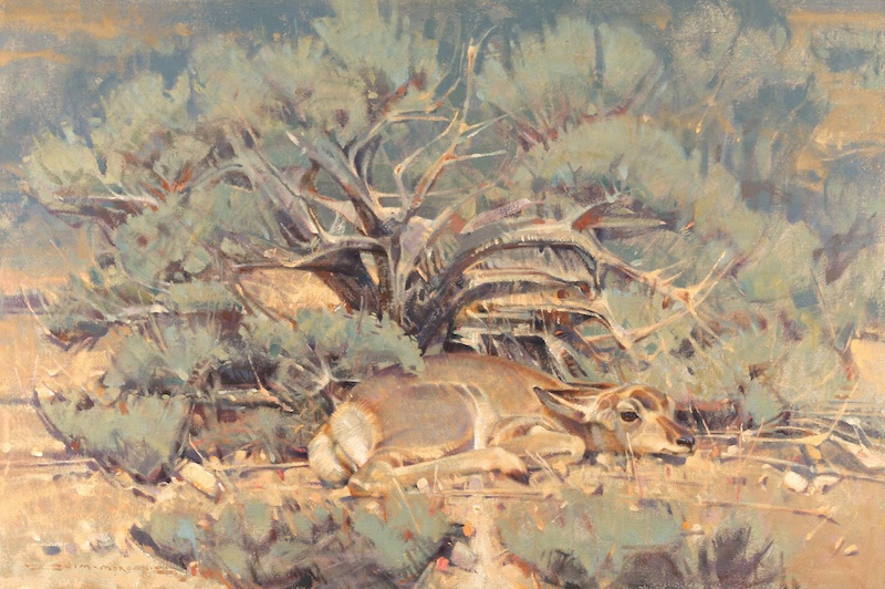 Black Sage and Pronghorn, 20"x30", Oil on Linen