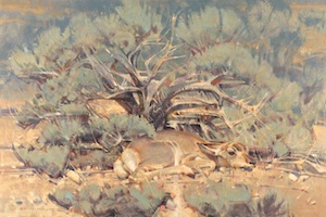 Black Sage and Pronghorn Fawn Black Sage and Pronghorn Fawn