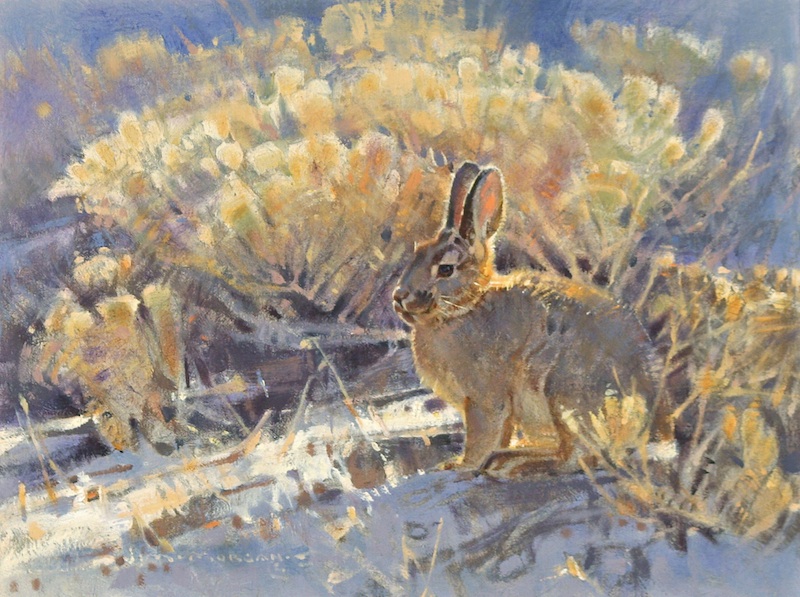 Desert Cottontail, 9"x12", Oil on Linen