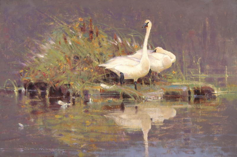 Idle Time - Trumpeter Swans, 12"x18", Oil on Linen