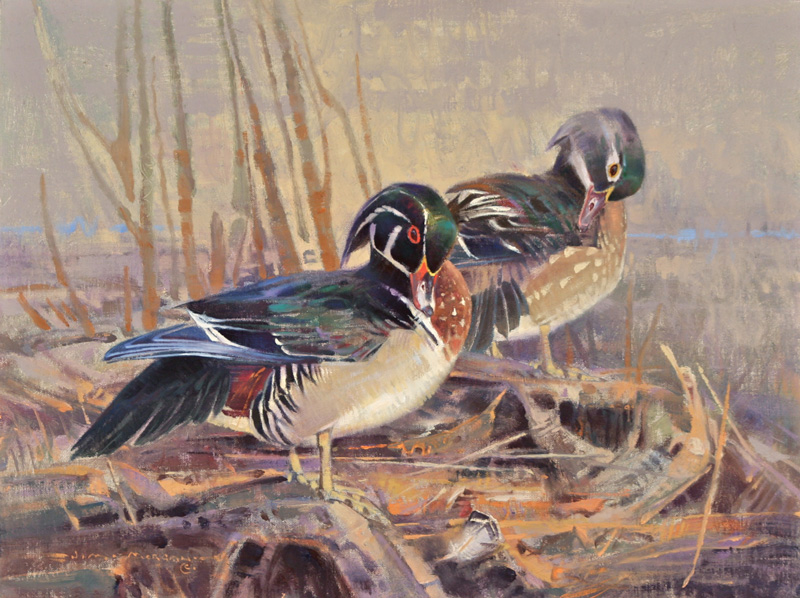 Preening Wood Ducks, Oil on Linen