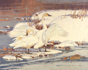White on White - Fish Creek, 24"x30", Oil on Linen White on White - Fish Creek, 24"x30", Oil on Linen